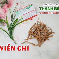 Viễn chí [Hình ảnh, công dụng, cách dùng] Mua ở đâu chất lượng tốt nhất?