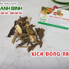 Xích đồng nam [Hình ảnh, công dụng, cách dùng] Mua ở đâu chất lượng tốt nhất?