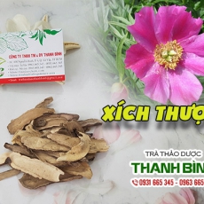 Xích thược [Hình ảnh, công dụng, cách dùng] Mua ở đâu chất lượng tốt nhất?