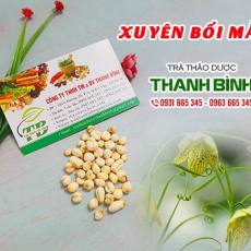 Xuyên bối mẫu [Hình ảnh, công dụng, cách dùng] Mua ở đâu chất lượng tốt nhất?