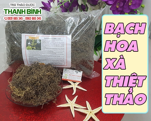 Mua bán bạch hoa xà thiệt thảo ở quận Tân Bình giúp trị ho do viêm phổi tốt nhất