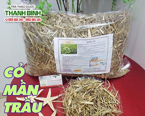 Mua bán cỏ mần trầu ở huyện Hóc Môn giúp thanh nhiệt giải độc an toàn nhất