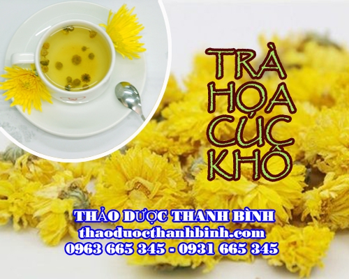 Cửa hàng bán trà hoa cúc khô tại Bình Định giúp thanh nhiệt giải độc