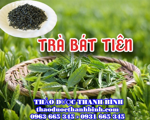 Địa chỉ bán trà Bát Tiên giúp giải nhiệt bổ gan thận tại Hà Nội uy tín nhất