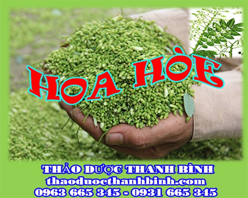 Địa chỉ mua bán hoa hòe tại Bình Thuận giá tốt nhất