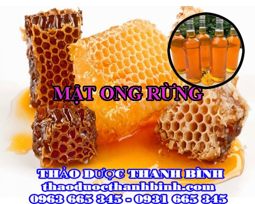 Địa điểm cung cấp mật ong rừng tại Cao Bằng uy tín chất lượng
