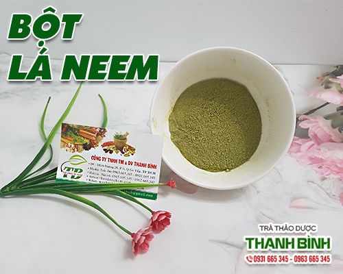 Mua bán bột lá neem tại TP.HCM uy tín chất lượng tốt nhất