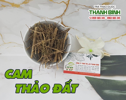 Mua bán cam thảo đất ở quận Tân Bình giúp chữa kiết lỵ tốt nhất