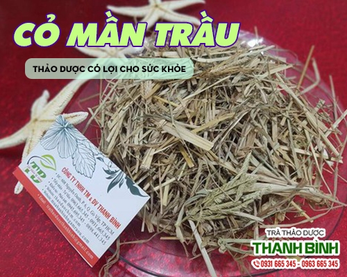 Mua bán cỏ mần trầu tại Bình Định giúp lợi tiểu trị sỏi thận rụng tóc hiệu quả
