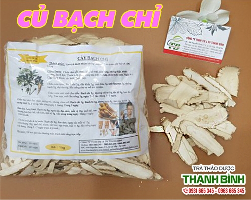 Mua bán củ bạch chỉ ở quận Tân Phú có tác dụng trị tiêu chảy hiệu quả