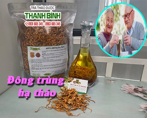 Mua bán đông trùng hạ thảo ở quận Tân Phú giúp bồi bổ sức khỏe hiệu quả nhất