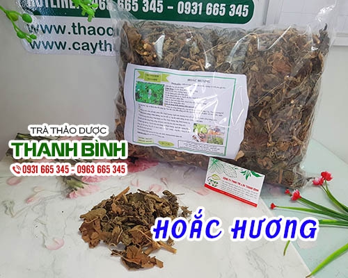 Mua bán hoắc hương ở huyện Hóc Môn có tác dụng điều trị phát ban