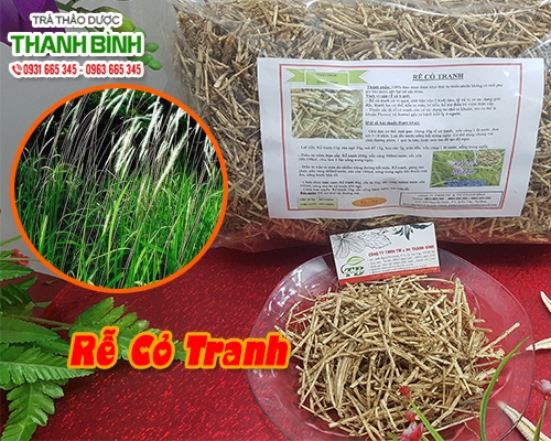 Mua bán rễ cỏ tranh ở huyện Hóc Môn giúp chống viêm loét dạ dày hiệu quả nhất