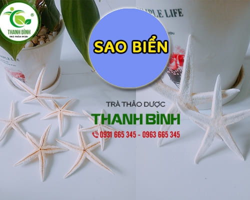 Mua bán sao biển tại huyện Thanh Oai giúp ngăn ngừa xơ vữa động mạch tốt nhất