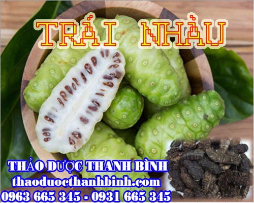 Mua bán sỉ và lẻ trái nhàu khô tại Bình Thuận giá tốt nhất