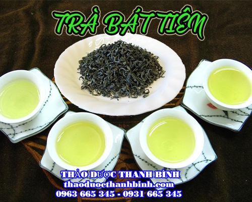 Mua bán trà Bát Tiên tại An Giang giúp thanh nhiệt giải độc gan tốt nhất