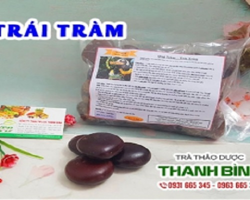 Mua bán trái tràm tại huyện Mê Linh giúp điều trị nóng sốt hiệu quả tốt nhất