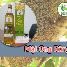 bán mật ong rừng ở quận Gò Vấp giúp tăng cường thể lực tốt