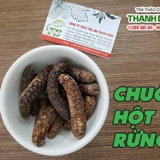 Mua bán chuối hột rừng ở quận Bình Tân giúp kích thích tiêu hóa tốt nhất