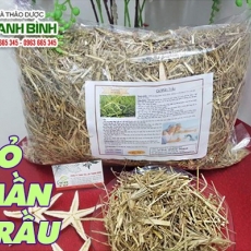 Mua bán cỏ mần trầu ở quận Phú Nhuận khắc phục viêm tinh hoàn an toàn nhất
