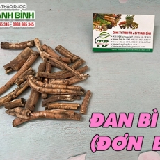 Mua bán đan bì (đơn bì) ở quận Tân Phú có tác dụng bổ thận, sinh tinh hiệu quả
