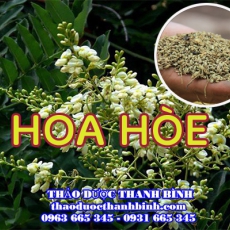 Địa chỉ công ty bán hoa hòe tại Bình Thuận gần nhất