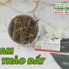 Mua bán cam thảo đất ở quận Bình Tân giúp giải cảm sốt tốt nhất