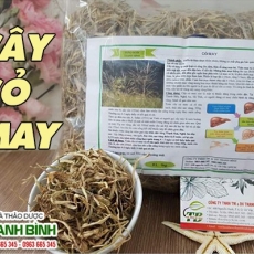 Mua bán cây cỏ may ở quận Bình Tân giúp thanh nhiệt, giải độc tốt nhất