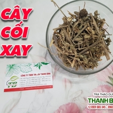 Mua bán cây cối xay ở quận Tân Phú có tác dụng trị trĩ nội, trĩ ngoại hiệu quả
