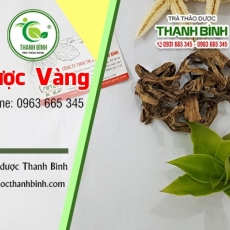 Mua bán cây lược vàng ở huyện Hóc Môn có công dụng giúp kháng viêm an toàn nhất