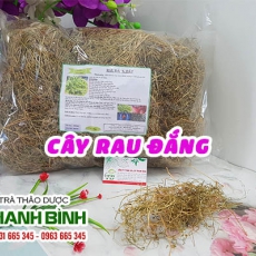 Mua bán cây rau đắng ở quận Tân Phú có tác dụng điều trị thoát vị đĩa đệm