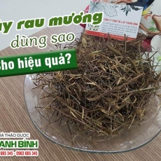 Mua bán cây rau mương ở quận Tân Phú có tác dụng hạ sốt nhanh chóng hiệu quả tốt