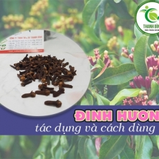 Mua bán đinh hương ở huyện Hóc Môn có công dụng giúp giảm stress an toàn nhất