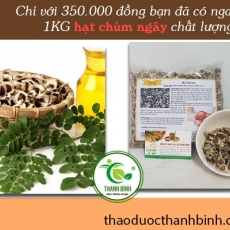 Mua bán hạt chùm ngây ở quận Phú Nhuận trị đau bụng hiệu quả nhất
