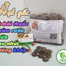 Mua bán hạt gấc ở quận Phú Nhuận trị bệnh trĩ hiệu quả nhất