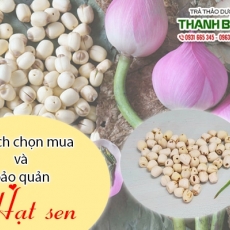 Mua bán hạt sen ở huyện Hóc Môn có công dụng giúp bảo vệ tim mạch an toàn nhất