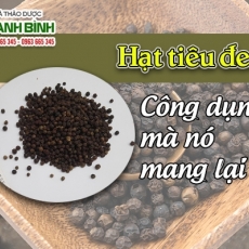 Mua bán hạt tiêu đen ở quận Phú Nhuận trị viêm khớp hiệu quả nhất