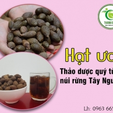 Mua bán hạt ươi ở quận Tân Bình giúp chữa trị cổ họng sưng đau tốt nhất
