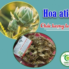 Mua bán hoa atiso ở huyện Củ Chi hỗ trợ chống táo bón an toàn hiệu quả nhất