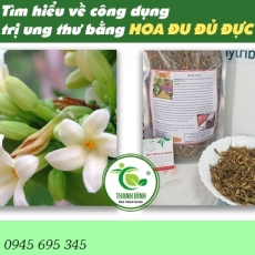 Mua bán hoa đu đủ đực ở quận Bình Tân có công dụng trị ung thư tuyến tiền liệt tốt nhất
