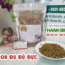 Mua bán hoa đu đủ đực ở quận Tân Bình rất tốt trong điều trị ung thư