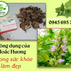 Mua bán hoắc hương ở huyện Hóc Môn có công dụng giúp giảm ho an toàn nhất