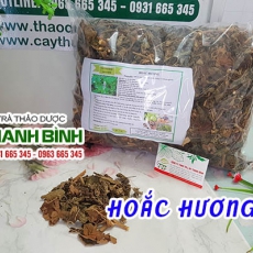 Mua bán hoắc hương ở quận Tân Phú rất tốt trong điều trị viêm xoang