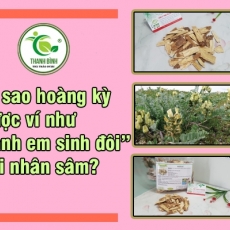 Mua bán hoàng kỳ ở quận Tân Phú có tác dụng phòng ngừa ung thư hiệu quả tốt