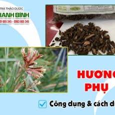 Mua bán hương phụ ở huyện Bình Chánh giúp giảm các cơn đau nhức cơ hiệu quả nhất