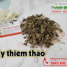 Mua bán hy thiêm thảo ở huyện Hóc Môn giúp hạ huyết áp hiệu quả nhất