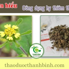 Mua bán hy thiêm thảo ở quận Phú Nhuận trị đau nhức xương khớp hiệu quả nhất