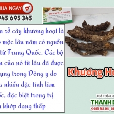 Mua bán khương hoạt ở quận Bình Tân có công dụng trị cảm mạo phát sốt tốt nhất