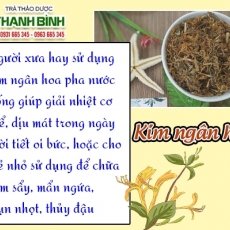 Mua bán kim ngân hoa ở quận Tân Phú có tác dụng tăng cường chức năng tiêu hóa