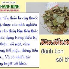 Mua bán kim tiền thảo ở quận Tân Phú có tác dụng tán sỏi thận hiệu quả tốt